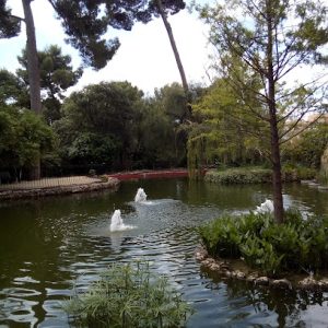 AC9h4npxpwfjoin-R7rdo1D1Uaq9m08fAtNKEd3V1jkRwN9QI7CmyHtvVG8gSo-SgzoKvprn7yJEsEdEMwrVr8fkKAv2Fo4iv4ectkF6jY1zUapS5qhq_lzyVgiQlrRFyJF8QfbKdO1U8w=w408-h544-k-no