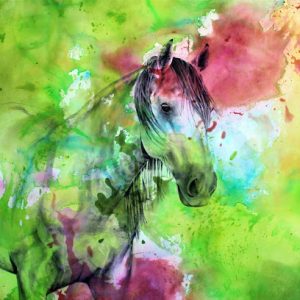 AF1QipMBM-Apv2x625l4gvRyGd-pnS8Xn-jMBXM_rxNo=w408-h408-k-no