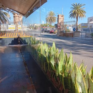 AF1QipMJwqy6WjWgiuWxgJOJABNwnWBvWrWioYCE5TgR=w408-h544-k-no