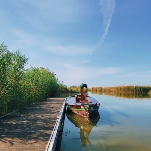 AF1QipPVdxKOT3BHlphrOcTqpmexsXe_oEgTLODaaJ3F=w408-h510-k-no